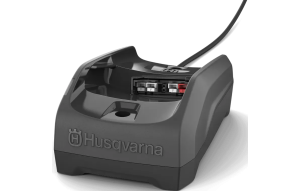 Slika proizvoda: Punjač C80 BLi-X